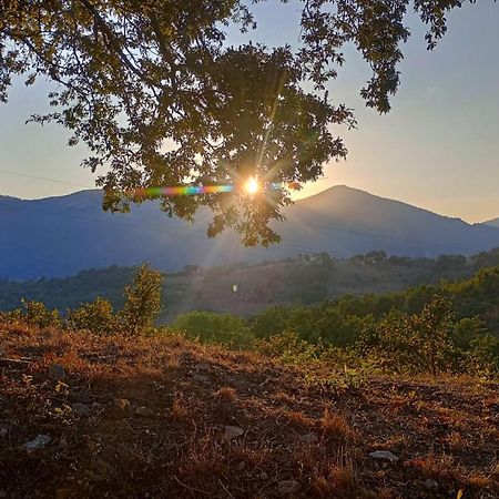 Bed and Breakfast Il Sottobosco Satriano di Lucania Exterior foto